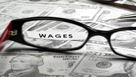 gov-pay-statements