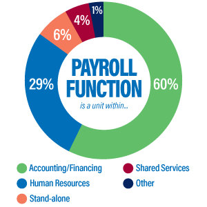 24-mg-chart-payroll-function